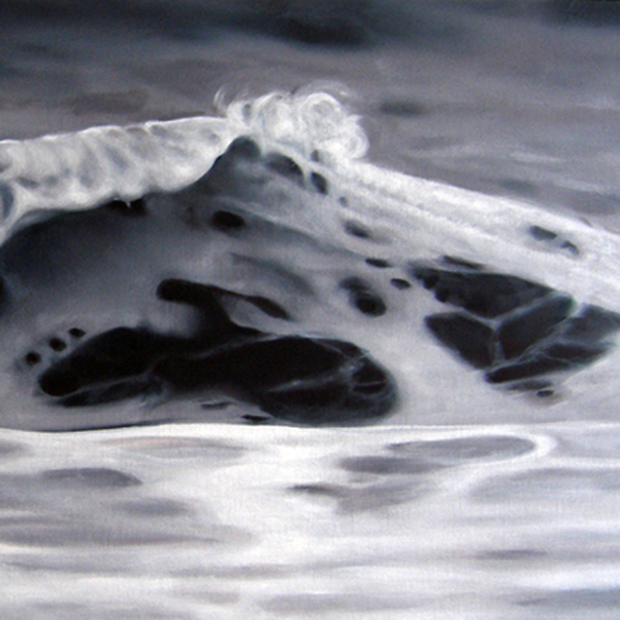 Platinum Sea (Newcomb Hollow No.4), 2014, 18 x 36, oil/canvas